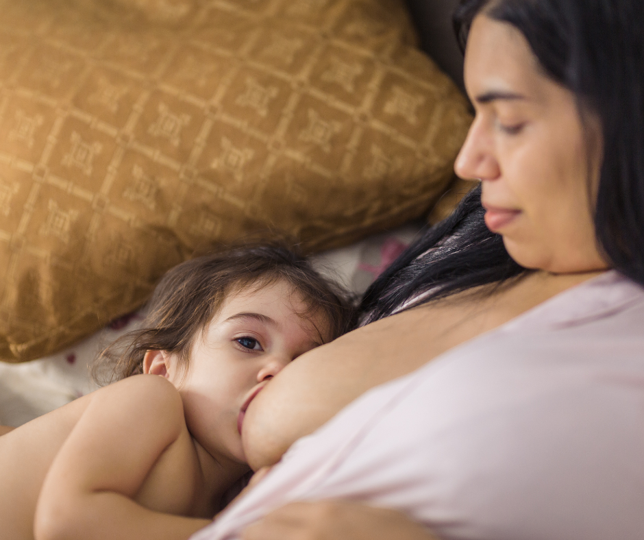 mother breastfeeding her toddler - night weaning - Arlie Hastings Lactation Consultant. Breastfeeding support home visits in Gold Coast, Tamborine, Logan and Redlands. Telehealth video chat consultations.