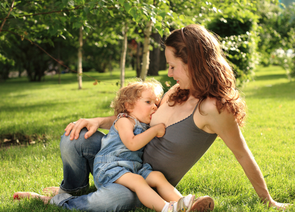 mother breastfeeding her toddler - breastfeeding while pregnant - Arlie Hastings Lactation Consultant. Breastfeeding support home visits in Gold Coast, Tamborine, Logan and Redlands. Telehealth video chat consultations.